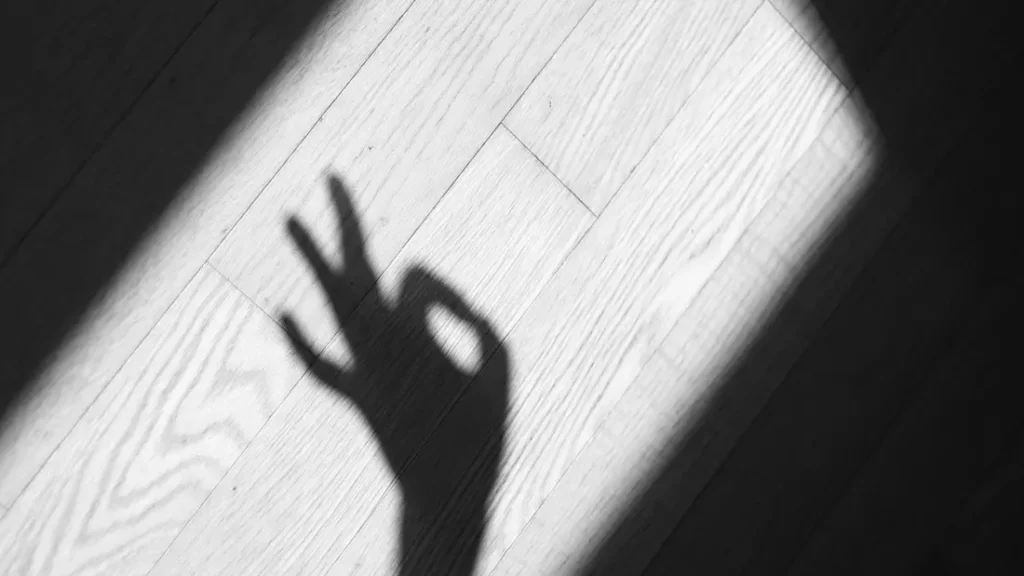 Concepts de Carl Gustav Jung