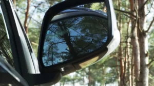 Sensation de déjà vu en rêve