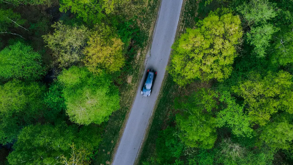 Sensation de déjà vu en rêve